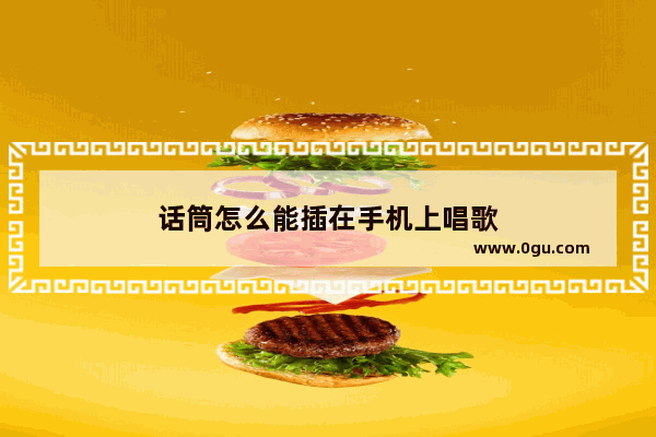 话筒怎么能插在手机上唱歌