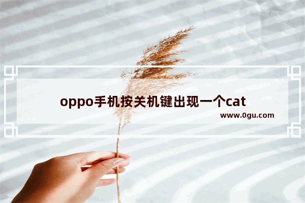 oppo手机按关机键出现一个cat