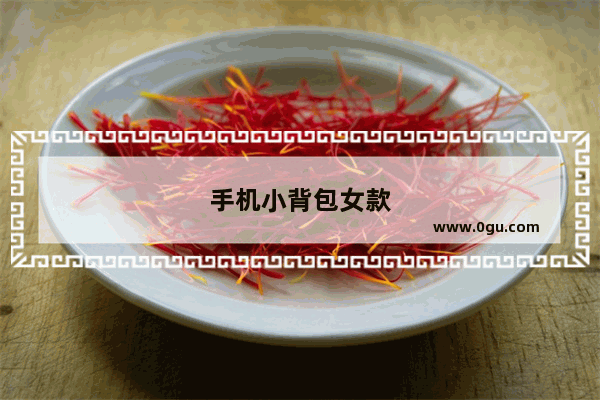 手机小背包女款