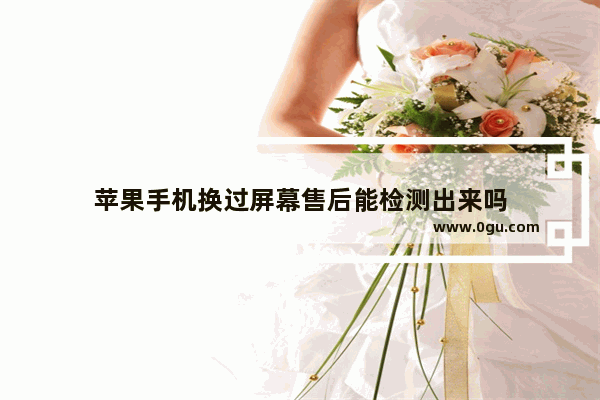 苹果手机换过屏幕售后能检测出来吗