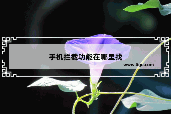 手机拦截功能在哪里找