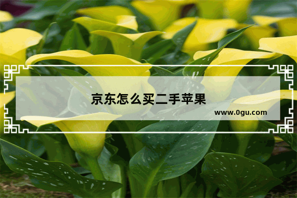 京东怎么买二手苹果