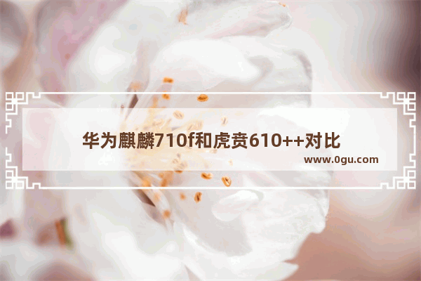 华为麒麟710f和虎贲610++对比