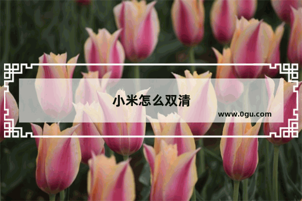 小米怎么双清