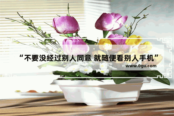 “不要没经过别人同意 就随便看别人手机” 你怎么看