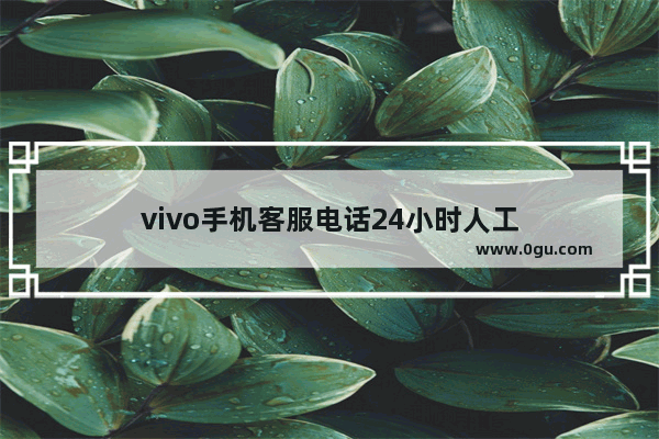 vivo手机客服电话24小时人工
