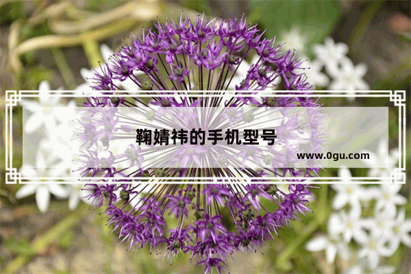 鞠婧祎的手机型号