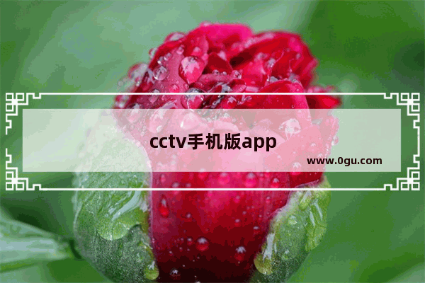cctv手机版app