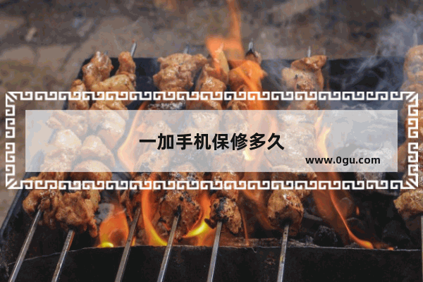 一加手机保修多久