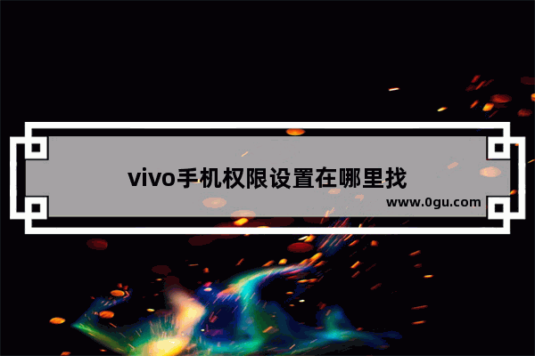 vivo手机权限设置在哪里找
