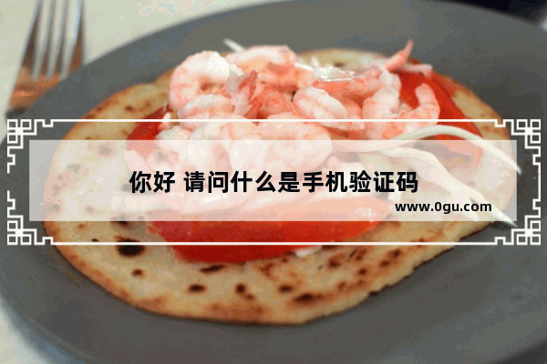 你好 请问什么是手机验证码