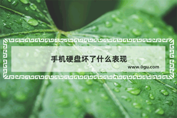 手机硬盘坏了什么表现