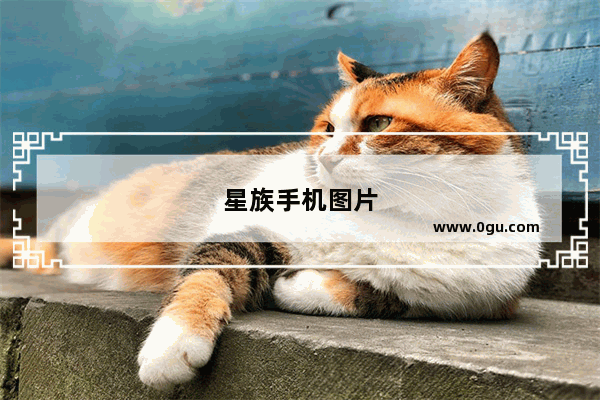 星族手机图片
