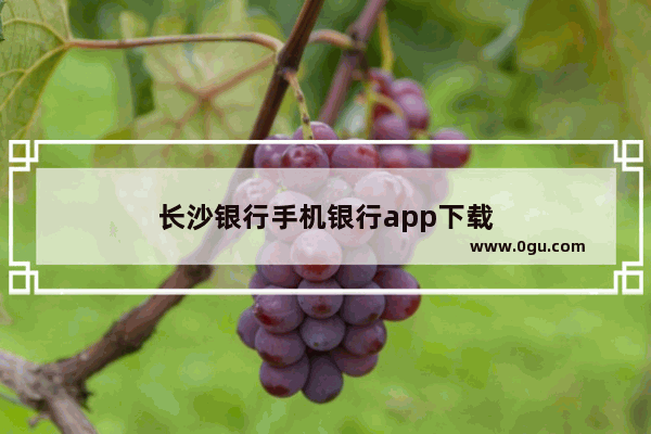 长沙银行手机银行app下载