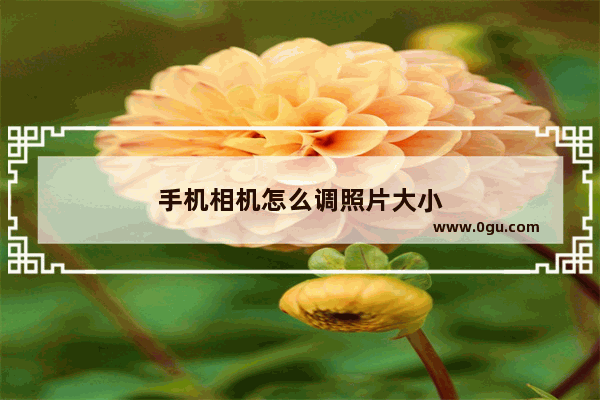 手机相机怎么调照片大小