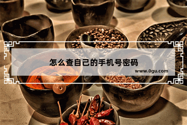 怎么查自己的手机号密码