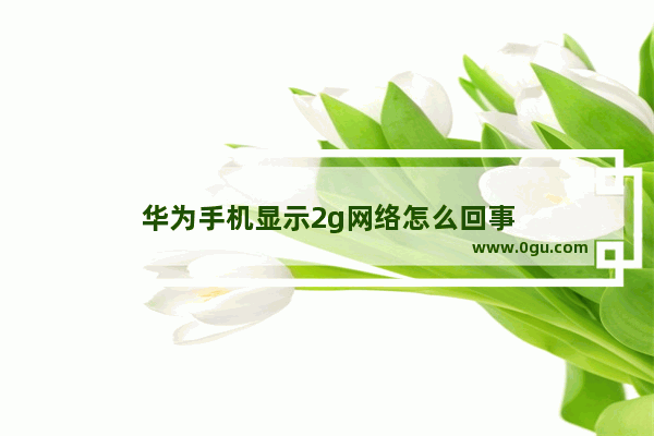 华为手机显示2g网络怎么回事