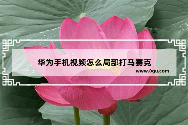 华为手机视频怎么局部打马赛克