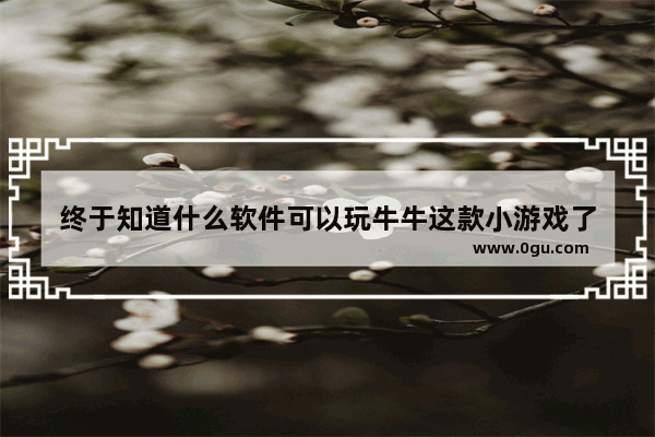 终于知道什么软件可以玩牛牛这款小游戏了