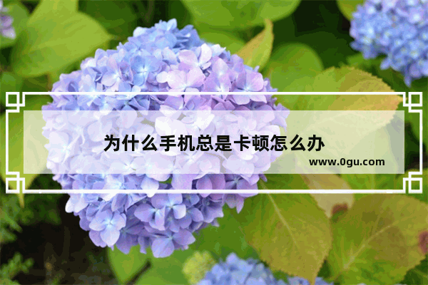 为什么手机总是卡顿怎么办