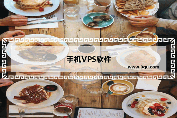 手机VPS软件