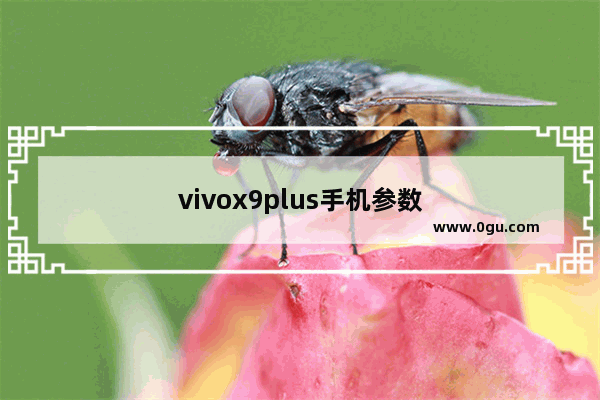 vivox9plus手机参数