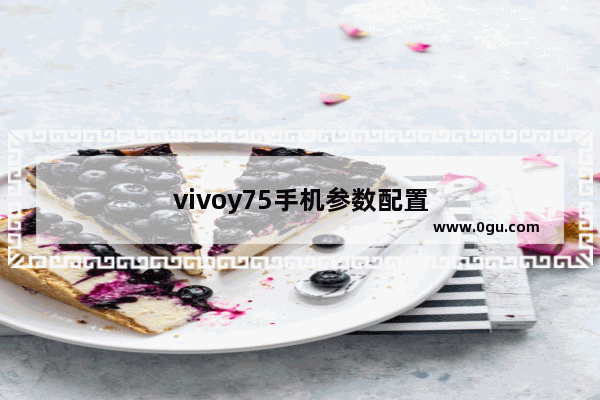 vivoy75手机参数配置