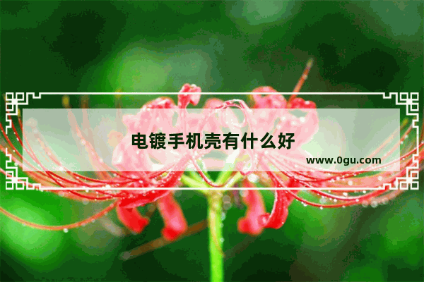 电镀手机壳有什么好