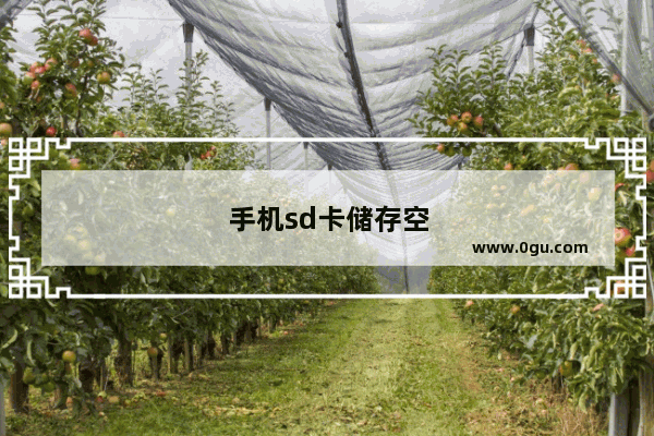 手机sd卡储存空间不足怎么清理