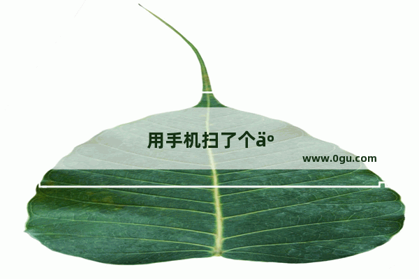 用手机扫了个二维码 会盗取我银行卡里的钱吗？有危险吗