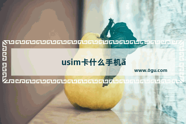 usim卡什么手机使用