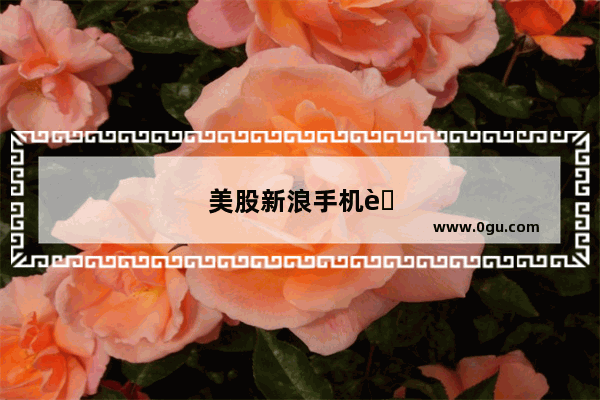 美股新浪手机股票行情