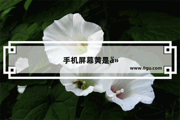 手机屏幕黄是什么原因清除手机内存方法