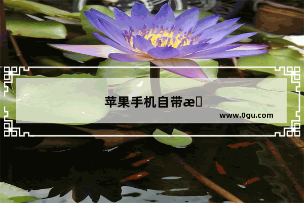 苹果手机自带扫描怎么用