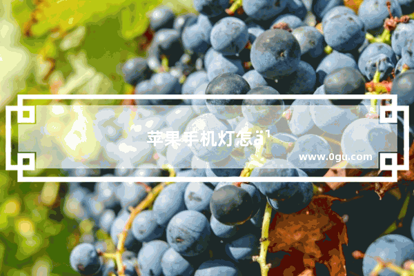 苹果手机灯怎么开不了了