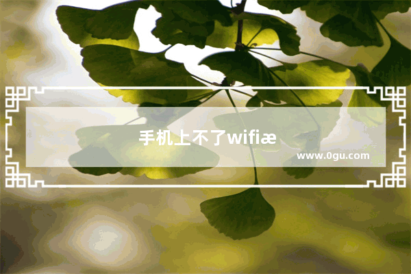 手机上不了wifi怎么回事