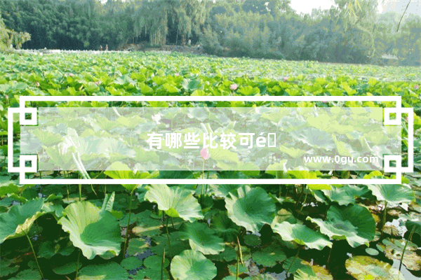 有哪些比较可靠的手机++
