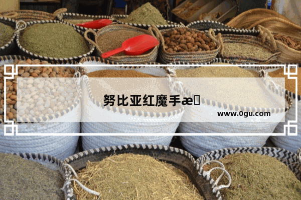 努比亚红魔手机官网