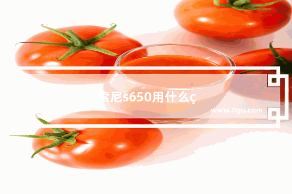 索尼s650用什么电池
