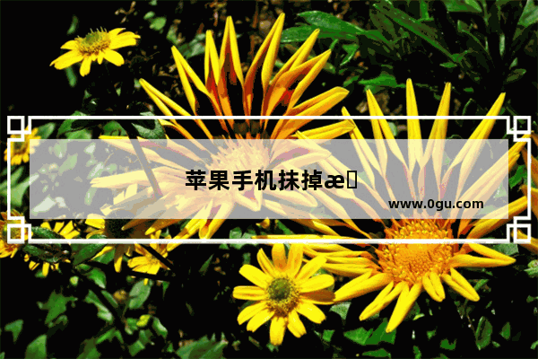 苹果手机抹掉数据