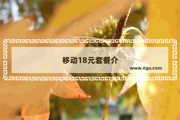 移动18元套餐介绍