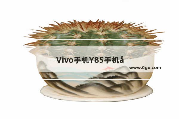 Vivo手机Y85手机参数