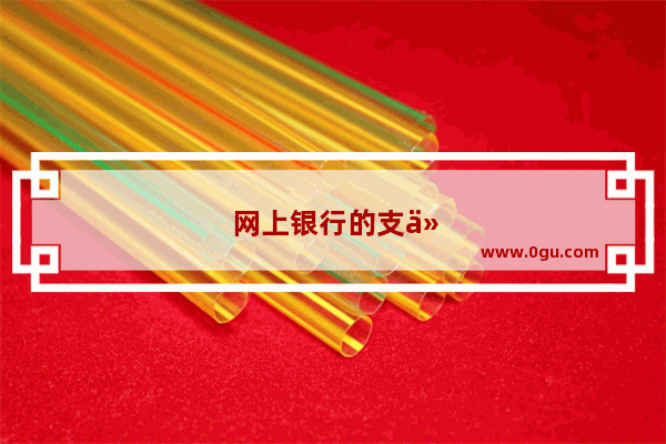 网上银行的支付密码是指的哪个密码