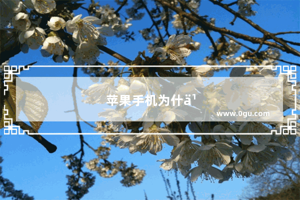 苹果手机为什么来电显示都是山西的