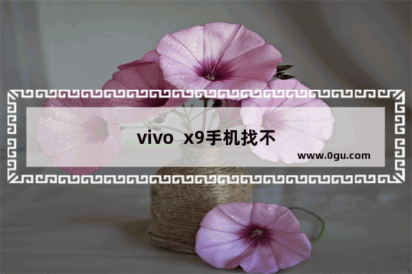 vivo  x9手机找不着了怎样用电脑找到