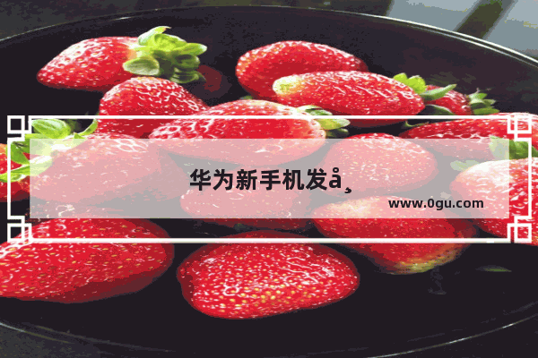 华为新手机发布会时间表