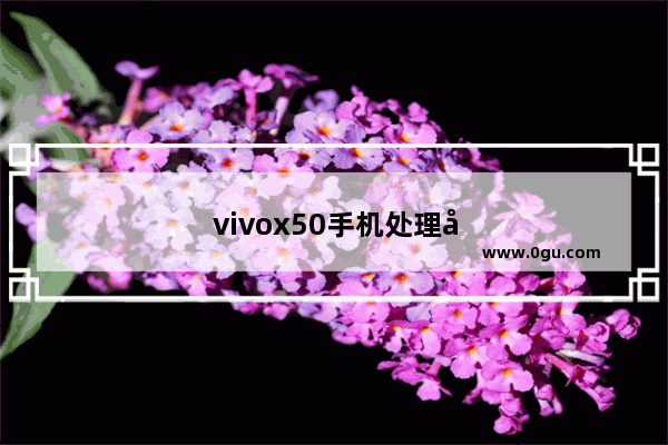 vivox50手机处理器怎么换