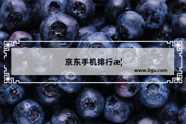 京东手机排行榜怎么看