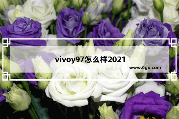 vivoy97怎么样2021