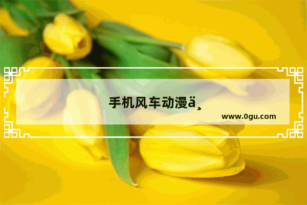 手机风车动漫为什么看不了